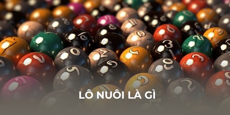 Lô Nuôi là gì? Tại sao nên chọn