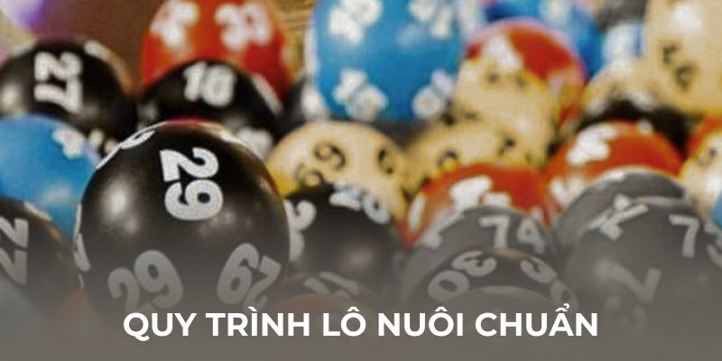 Quy trình lô nuôi chuẩn như thế nào