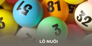 Tìm hiểu về lô nuôi tại soicauvip4so