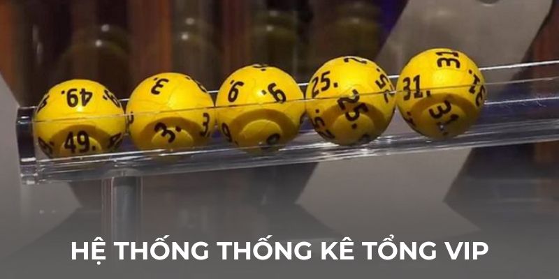 Hệ thống thống kê tổng theo VIP